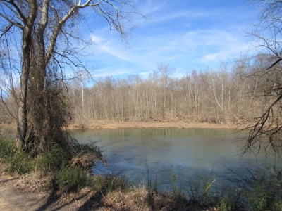 Buffalo River Front Land for Sale Absolute Auction - image 1