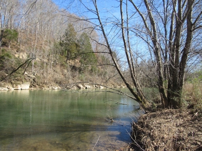 Buffalo River Front Land for Sale Absolute Auction - image 9