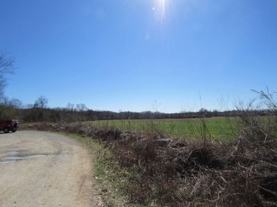 Buffalo River Front Land for Sale Absolute Auction - image 4