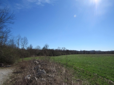 Buffalo River Front Land for Sale Absolute Auction - image 6