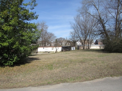 Commercial Property for Sale Absolute Auction - image 5