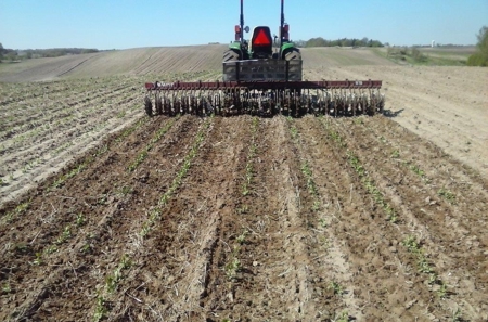 Otter Tail County Mn Farmland & Land Auction - image 1