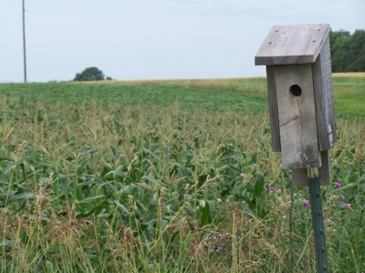 Otter Tail County Mn Farmland & Land Auction - image 8