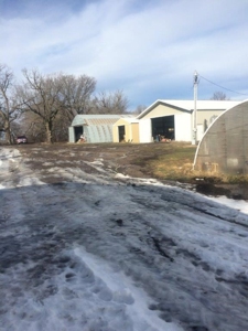 Otter Tail County Mn Farmland & Land Auction - image 16