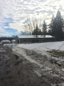 Otter Tail County Mn Farmland & Land Auction - image 13