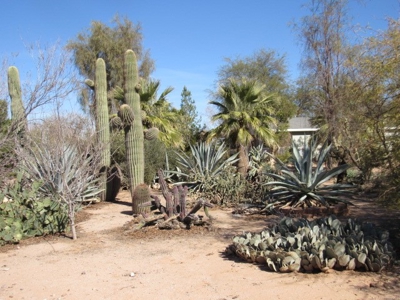 Maricopa Az Country Home Estate Auction For Sale - image 5