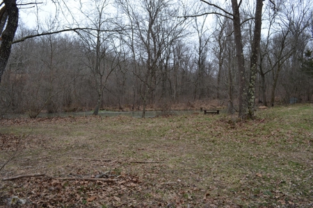 394 Acres - Absolute Auction - April 15th - image 10