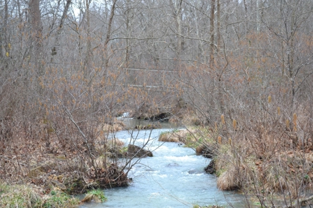 394 Acres - Absolute Auction - April 15th - image 9