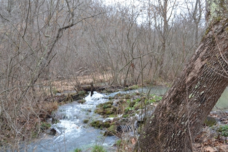 394 Acres - Absolute Auction - April 15th - image 2