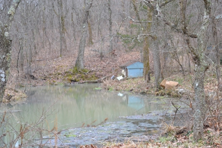 394 Acres - Absolute Auction - April 15th - image 3