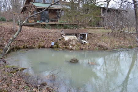 394 Acres - Absolute Auction - April 15th - image 5