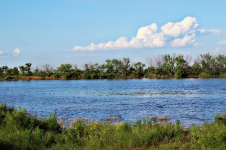 Hudson Ranch Auction   Tract 7 - image 17