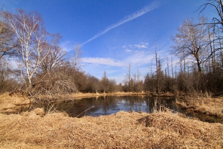 Green Lake Log Home and Land Live Auction - image 48