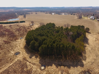 Green Lake Log Home and Land Live Auction - image 17