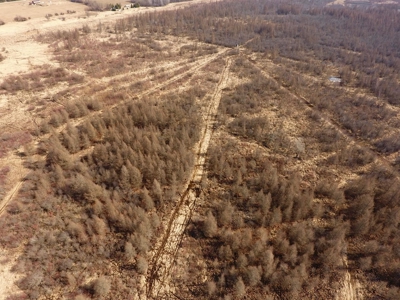 Green Lake Log Home and Land Live Auction - image 19