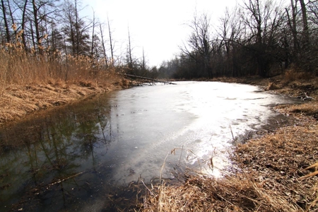 Green Lake Log Home and Land Live Auction - image 49