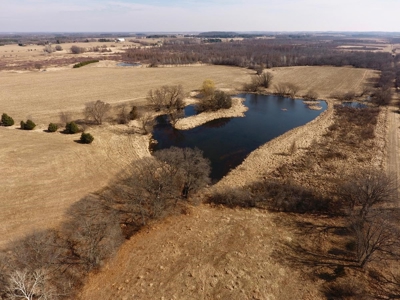Green Lake Log Home and Land Live Auction - image 12