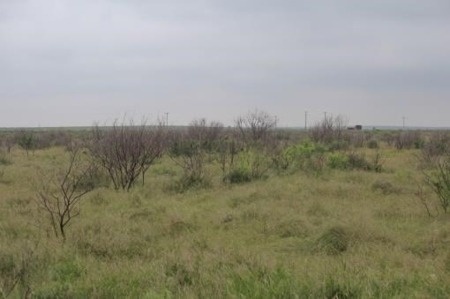 Hudson Ranch Auction Tract 15 - image 16