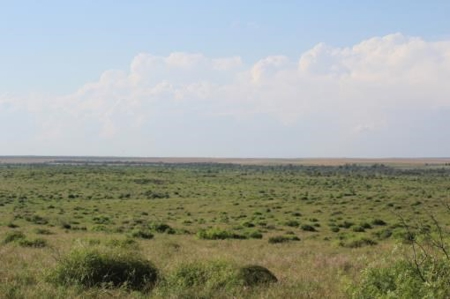 Hudson Ranch Auction Tract 17 - image 13