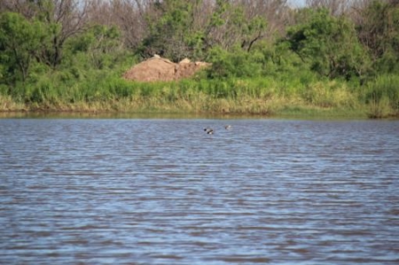 Hudson Ranch Auction Tract 17 - image 5