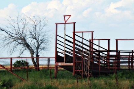 Hudson Ranch Auction Tract 18 - image 20