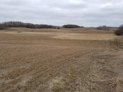 Farm Land, Otter Tail County, Tillable Row Crop for Sale, MN - image 2