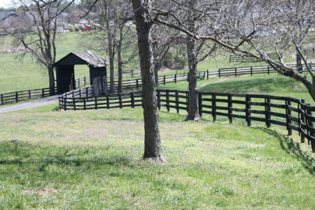 Country home / 32 acres, equine, cattle and recreational use - image 6