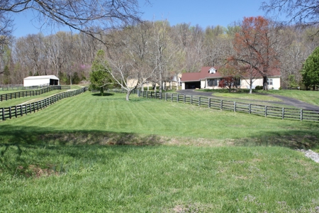 Country home / 32 acres, equine, cattle and recreational use - image 1