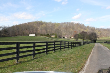 Country home / 32 acres, equine, cattle and recreational use - image 14