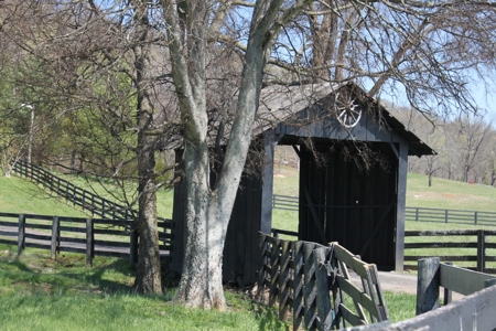 Country home / 32 acres, equine, cattle and recreational use - image 4