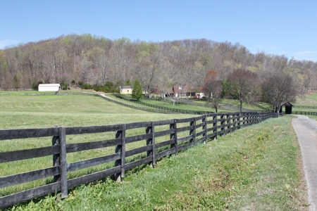 Country home / 32 acres, equine, cattle and recreational use - image 5