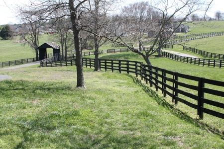 Country home / 32 acres, equine, cattle and recreational use - image 7