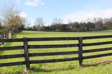 Country home / 32 acres, equine, cattle and recreational use - image 15