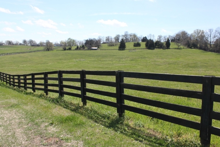 Country home / 32 acres, equine, cattle and recreational use - image 8