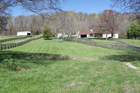 Country home / 32 acres, equine, cattle and recreational use - image 3