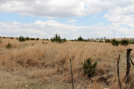 100± Acres of Rolling Pasture Land in Cloud County, Kansas - image 3