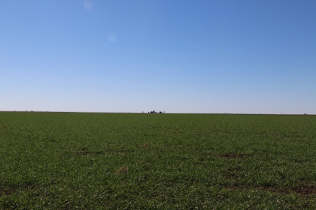 Texas Multi-Parcel Mineral Auction 1M - image 4