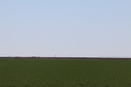 Texas Multi-Parcel Mineral Auction 1M - image 7