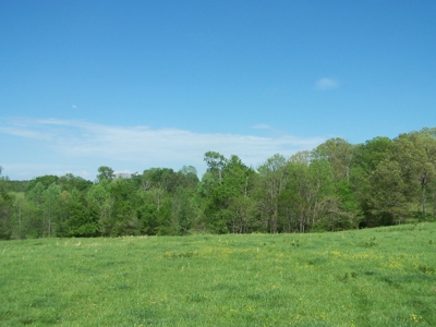 Charlotte County Virginia Cattle Farm Exceptional Views - image 7