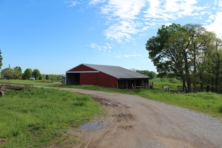 158.6 Acre Warren County Kentucky Land and Farm Auction - image 9