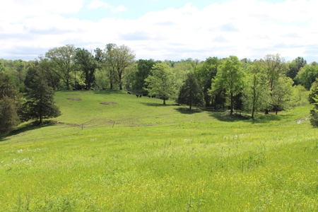 158.6 Acre Warren County Kentucky Land and Farm Auction - image 29