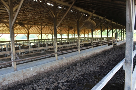158.6 Acre Warren County Kentucky Land and Farm Auction - image 17