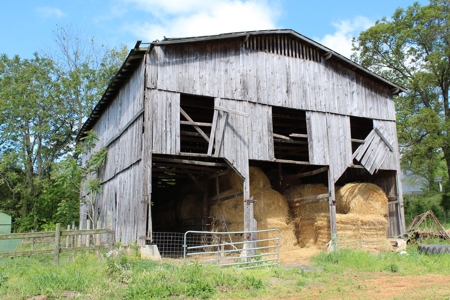 158.6 Acre Warren County Kentucky Land and Farm Auction - image 28