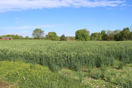 158.6 Acre Warren County Kentucky Land and Farm Auction - image 13