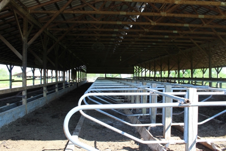 158.6 Acre Warren County Kentucky Land and Farm Auction - image 22