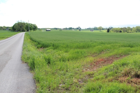 158.6 Acre Warren County Kentucky Land and Farm Auction - image 4