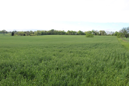 158.6 Acre Warren County Kentucky Land and Farm Auction - image 7