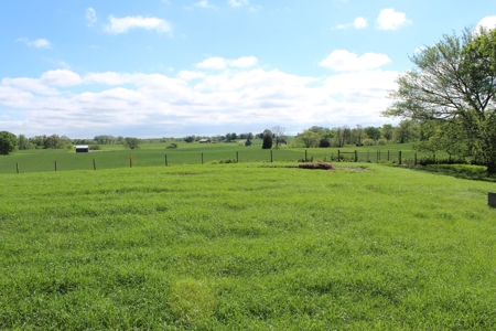 158.6 Acre Warren County Kentucky Land and Farm Auction - image 25
