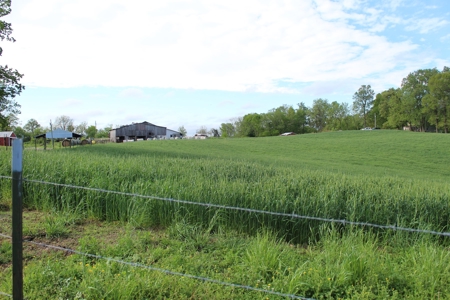 158.6 Acre Warren County Kentucky Land and Farm Auction - image 8
