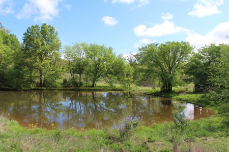158.6 Acre Warren County Kentucky Land and Farm Auction - image 42